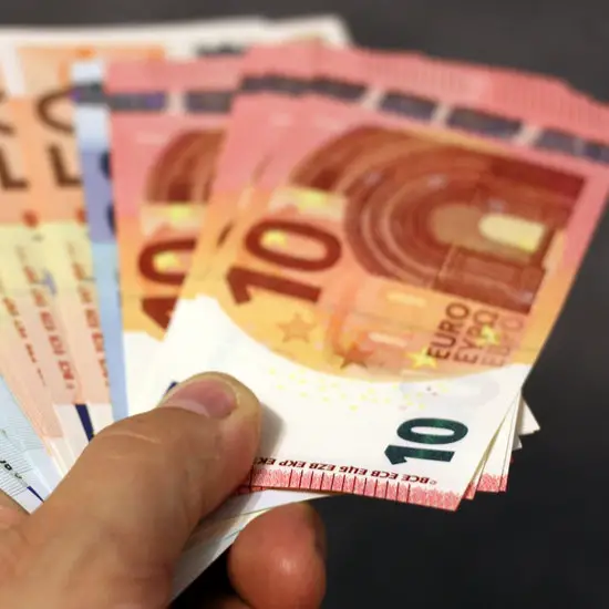 Euro banknotes - small